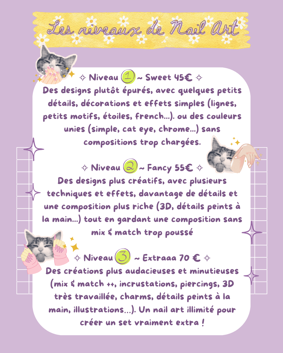 ✧Press-On Nails personnalisés✧